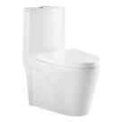 Vaso Sanitário Monobloco Caixa Acoplada Branco Reno R 550