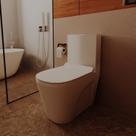 Vaso Sanitário Monobloco Mp 960 Manplex