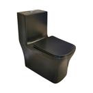 Vaso Sanitário Monobloco Preto R 450 Assento Brilhante Reno