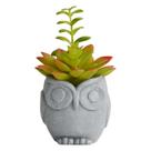 Vaso suculenta Coruja cimento plastico 7,5x8,5x8cm cinza -L Hermitage Vaso suculenta Coruja cimento plastico 7,5x8,5x8cm cinza -L Hermitage
