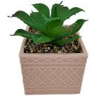 Vaso suculenta dolomita plastico 9,5x9,5x15cm rosa -L Hermitage