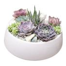 Vaso Terrário 7x13cm C/ Pé Cerâmica P/ Suculentas Cactos Lar Vaso Terrário 7x13cm C/ Pé Cerâmica P/ Suculentas Cactos Lar