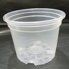 Vaso transparente 14 cm