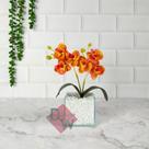 Vaso Transparente com Arranjo Flor de Orquídea Artificial Vaso Transparente com Arranjo Flor de Orquídea Artificial