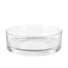 Vaso transparente de vidro - grillo