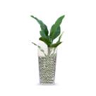 Vaso Tubo Acrílico Retangular Transparente 13x22,5 Decoração