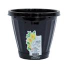 Vaso Uninjet com Prato Preto - 17