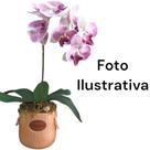 Vaso Vasinho de CERAMICA Modelo Cesto de Flores - Ferrugem - Hp Decor