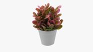 Vaso Vasinho Decorativo Suculenta Planta Artificial Cor 5