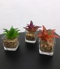 Vaso vidro decorativo planta plástico
