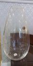 Vaso Vidro Transparente Oval