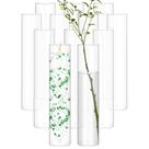 Vasos cilíndricos de vidro REWOMC, 16 cm de altura, transparente, pacote com 12