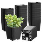 Vasos de berçário The Home Cult Black Square, 5 cm, plástico, 70 unidades