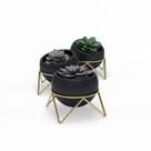 Vasos de Mesa Potsy Preto/Dourado (03 un.)