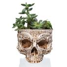 Vasos de plantio esculpidos góticos com caveira de resina criativa em vaso de flores