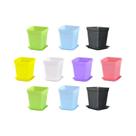 Vasos De Plástico 7x7cm Com Tampas, 10 Peças, Para Jardim, Varanda, Escritório E Mesa - Ideal Para