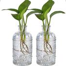 Vasos de propagação TIWPAJS de vidro 13 cm, 2 peças