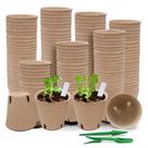 Vasos de turfa Baxrou, pacote 120, 8 cm para mudas com 30 rótulos de plantas
