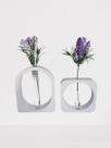 Vasos Hidropônicos com Vidro Minimalistas Decorativos Boho