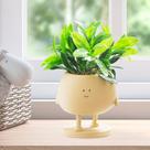 Vasos para plantas COTYNI Face Succulent 12,5 cm Head Planter Indoor