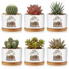 Vasos para plantas Havawish 6 peças cerâmica mini 8 cm x 5,5 cm Vasos para plantas Havawish 6 peças cerâmica mini 8 cm x 5,5 cm