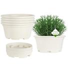 Vasos para plantas KPUVX 22 cm de plástico, kit com 5 unidades e pratos