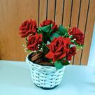 Vasos Trançado em Vime Com Buque de Rosas Vermelhas