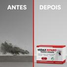 Vedax Reparo 12kg Argamassa Impermeabilizante para Paredes e Rodapés Uso Interno e Externo