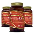 Vegan Vitamina B12 + Ferro + Ácido Fólico Kit 3x 60 Vegano Capsulas Cada - Flora Nativa