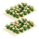 Vegetação de cacho de flores em miniatura Yetaha Gardenia x40 Vegetação de cacho de flores em miniatura Yetaha Gardenia x40