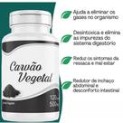 Vegetal Carvão Ativo 120 Cápsulas 500mg anti gases