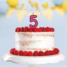 VELA ANIVERSÁRIO PURO GLITTER PINK Nº 5 CAIXA COM 1 UN.