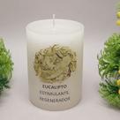 Vela Aromática Atrativa Artesanal - Aroma Eucalipto