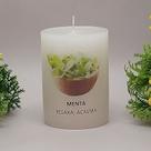 Vela Aromática Atrativa Artesanal - Aroma Menta Vela Aromática Atrativa Artesanal - Aroma Menta