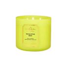 Vela Aromática Eucalyptus Mint White Barn Bath & Body Works 411G