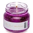 Vela Aromática Geleia De Frutas Perfumada Mels Brushes 85g Blueberry