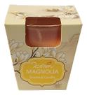 Vela aromatica mini vaso c/ castiçal em vidro ds-9701 magnolia - un