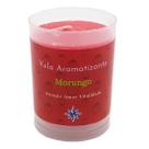 Vela Aromática Morango Vela Perfumada Amor e Vitalidade 90g