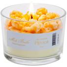 Vela Aromática Perfumada Mels Brushes 100g