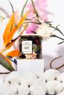 Vela Aromática Summer Dreams - MARA Velas