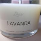 Vela Aromática Vegetal com Wax Melt Perfumada Lavanda 120g sem tampa