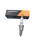 Vela De Ignição Honda Biz/Pop 110i Biz 125 CRF Consultar Ano