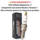 Vela de Ignição Iridium Cg 150 Titan / Nxr 150 Bros / Falcon 400 / Cg 160 Titan Magnetron Vela de Ignição Iridium Cg 150 Titan / Nxr 150 Bros / Falcon 400 / Cg 160 Titan Magnetron