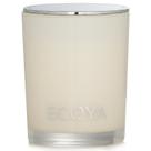 Vela Ecoya Mini Madison Maple Scent 25h de tempo de queima