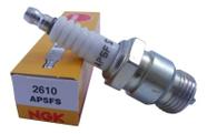 Vela Ignição AP5FS Maverick 5.0 V8 302 - NGK
