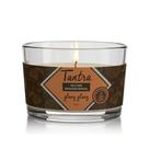 Vela Para Massagem Sensual Tantra Ylang Ylang 80g - A SÓS