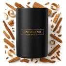 Vela perfumada Benevolence LA Santal Black Wax 300mL