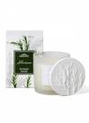 Vela Perfumada GreensWet