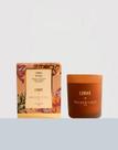 Vela perfumada terra do sol Lenvie e Água de coco