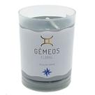 Vela Signo Gêmeos Vela Perfumada Gêmeos Floral 90g